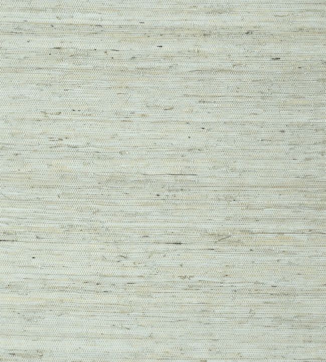 Maranta Arrowroot Wallpaper by Thibaut Aqua
