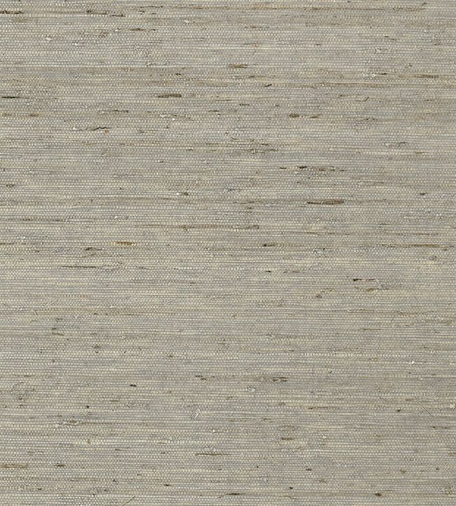 Maranta Arrowroot Wallpaper by Thibaut Grey