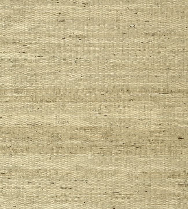 Maranta Arrowroot Wallpaper by Thibaut Beige