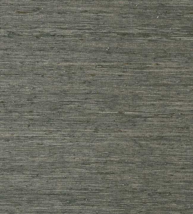 Maranta Arrowroot Wallpaper by Thibaut Black