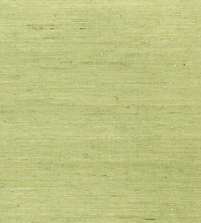 Maranta Arrowroot Wallpaper by Thibaut Green
