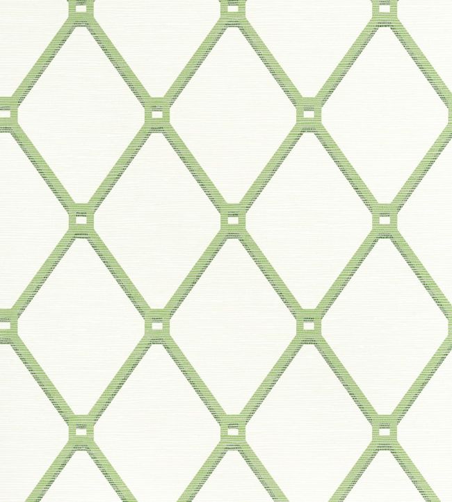 Easom Trellis Wallpaper by Thibaut Green
