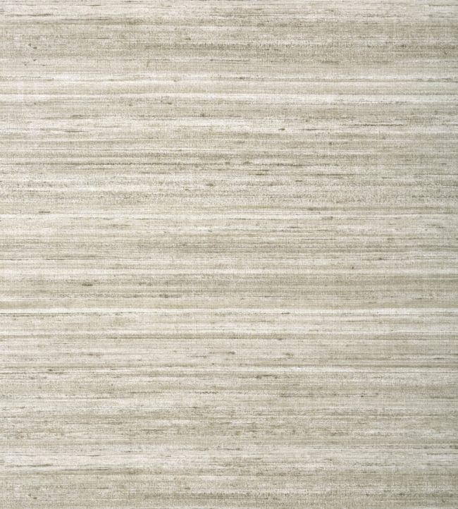 Wild Silk Wallpaper by Thibaut Taupe