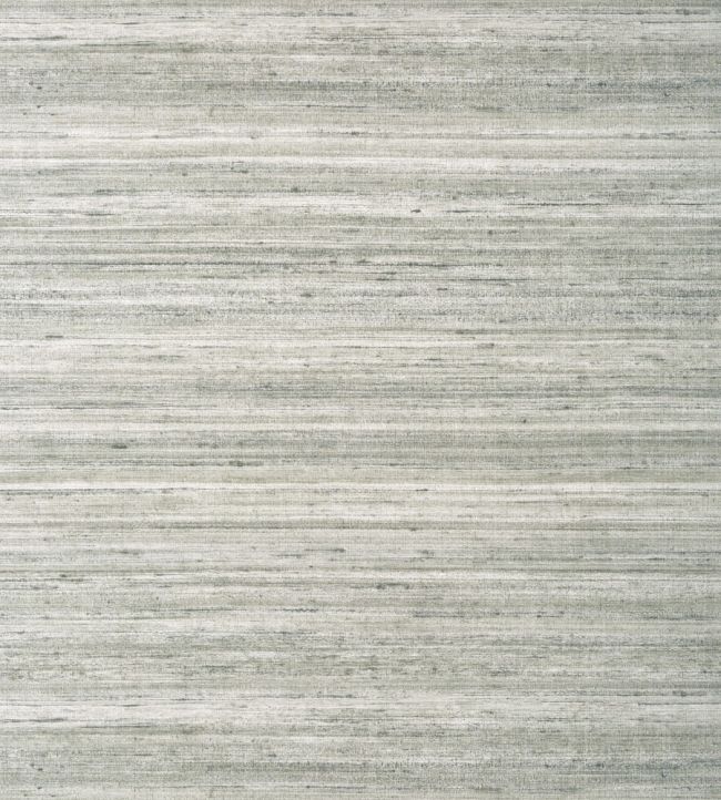 Wild Silk Wallpaper by Thibaut Charcoal on Metallic Silver