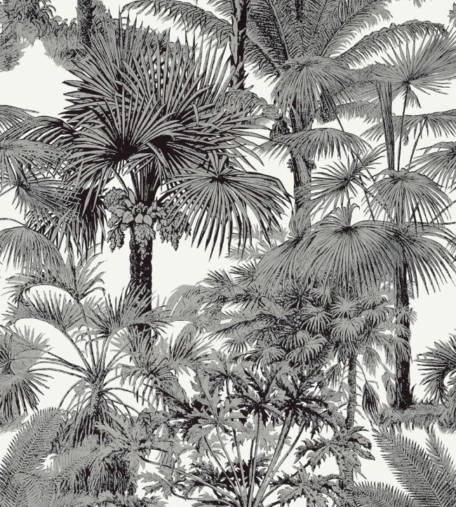 Palm Botanical Wallpaper by Thibaut Black