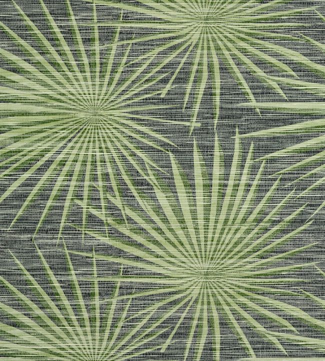 Palm Frond Wallpaper by Thibaut Black and Green