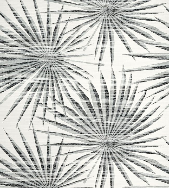 Palm Frond Wallpaper by Thibaut Black and White