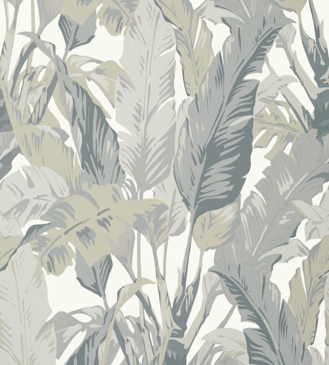 Travelers Palm Wallpaper by Thibaut Grey