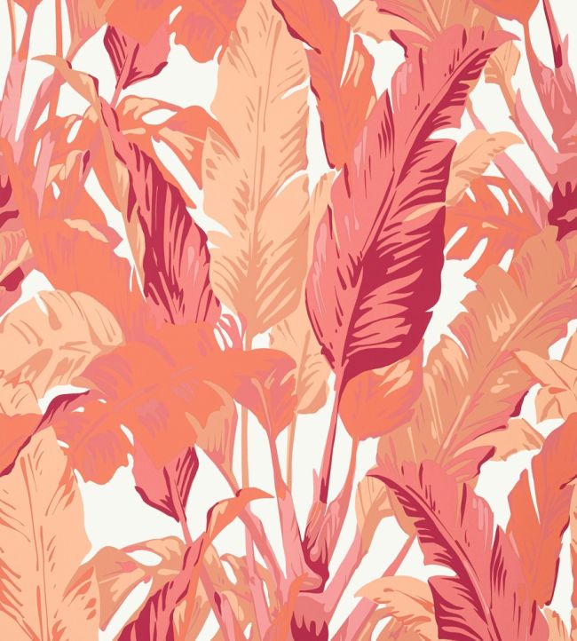 Travelers Palm Wallpaper by Thibaut Pink and Coral