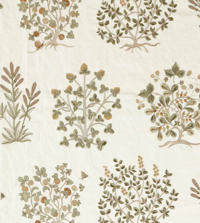 Thyme Walk Fabric by Sanderson Lichen/Gooseberry