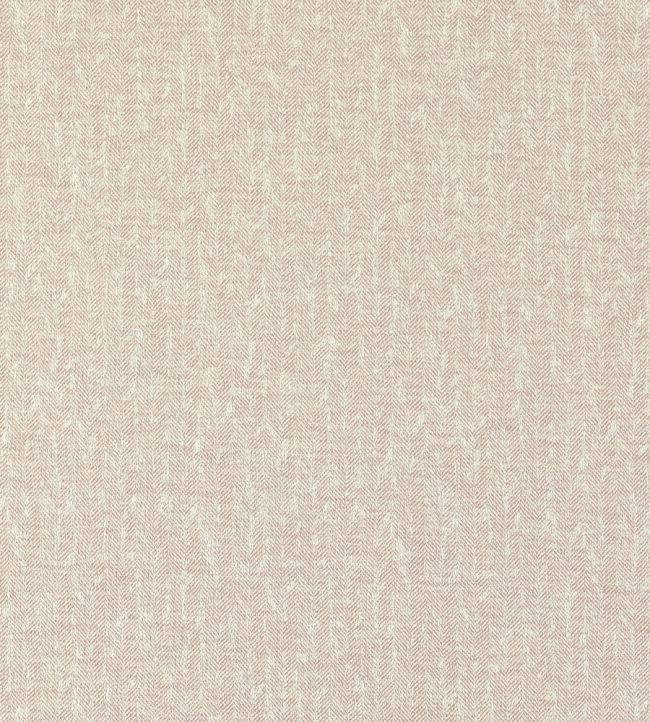 Tierra Fabric by Clarke & Clarke Blush