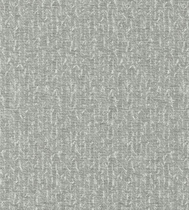 Tierra Fabric by Clarke & Clarke Charcoal