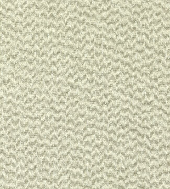 Tierra Fabric by Clarke & Clarke Linen