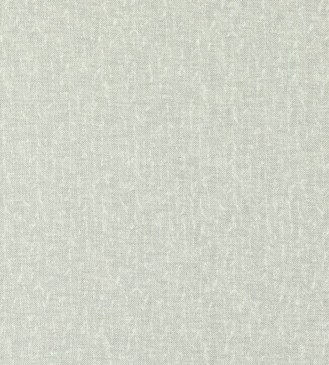 Tierra Fabric by Clarke & Clarke Silver