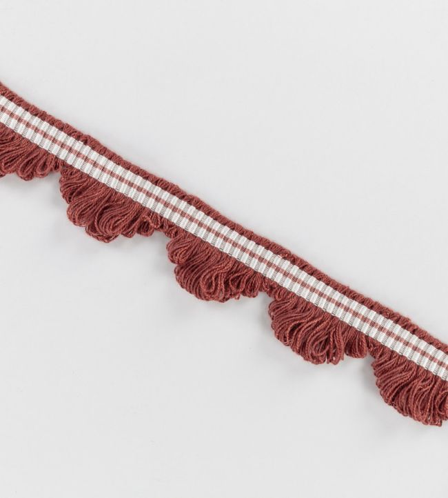 Tilsley Braid Trimming by Romo Harissa