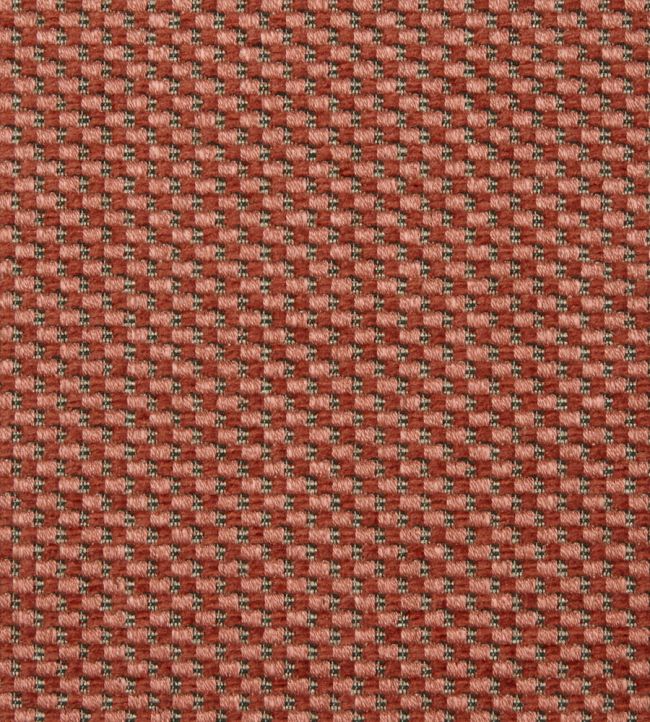 Tippet in Nash Fabric by Liberty Galah Pink