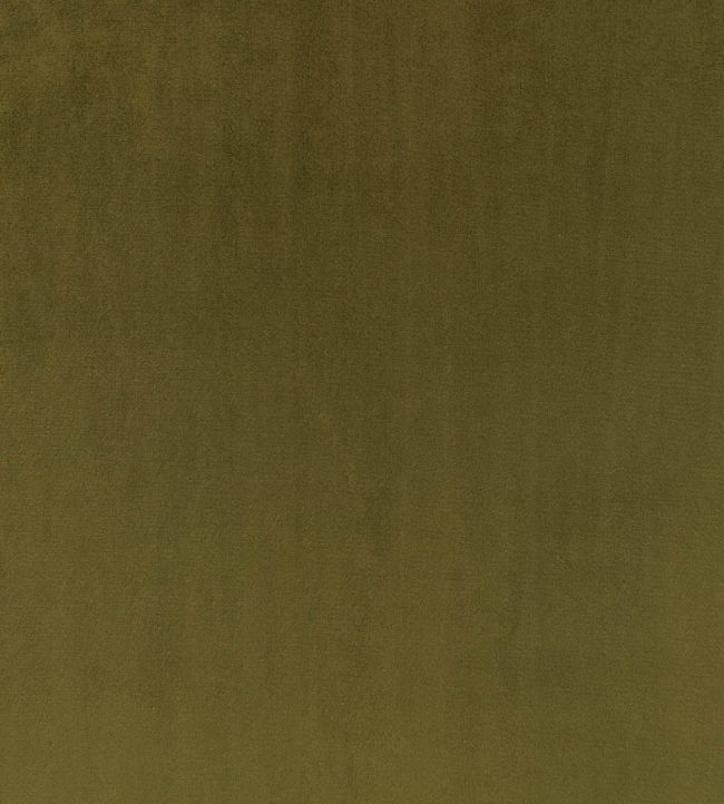 Todd Fabric by Zinc Colibri