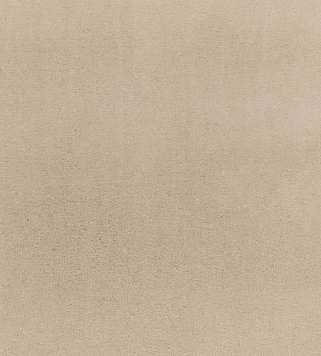 Todd Fabric by Zinc Linen