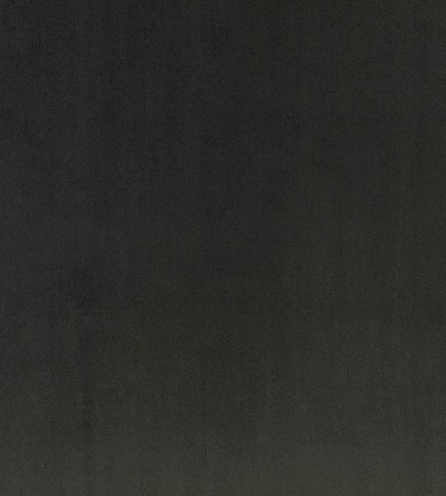Todd Fabric by Zinc Obsidian