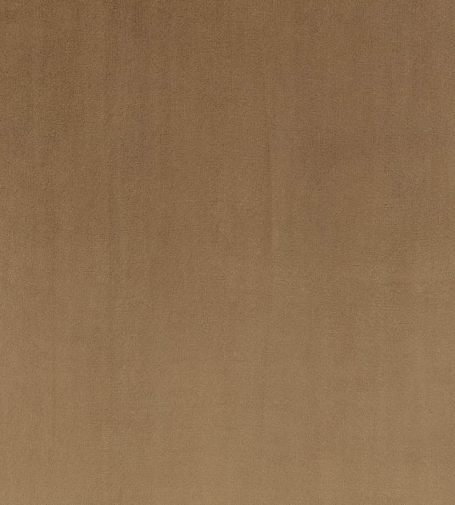 Todd Fabric by Zinc Truffle
