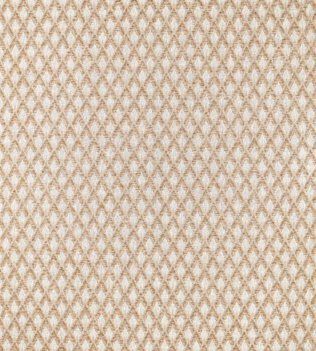 Torre Fabric by Clarke & Clarke Camel