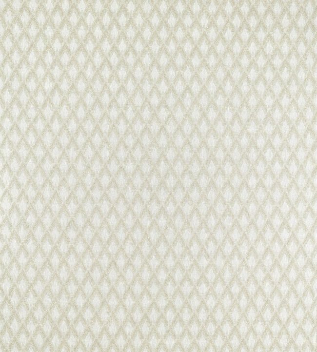 Torre Fabric by Clarke & Clarke Ivory