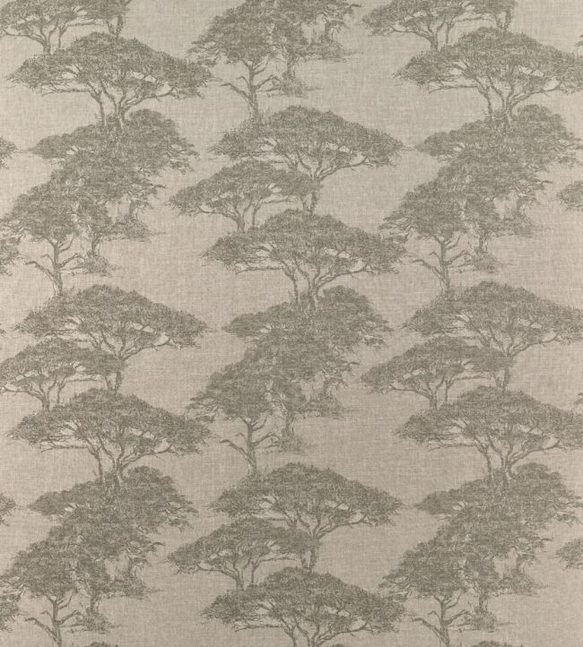 Torrey Pines Fabric by Thibaut Beige and Black