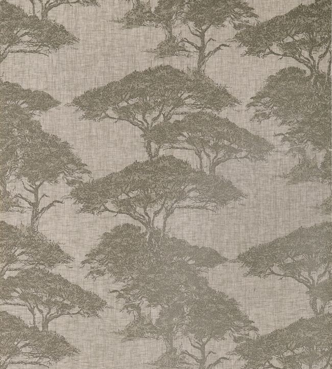 Torrey Pines Wallpaper by Thibaut Beige and Black