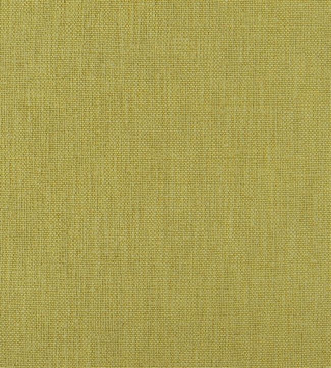 Tortona Fabric by Designers Guild Alchemilla