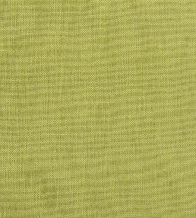 Tortona Fabric by Designers Guild Leaf