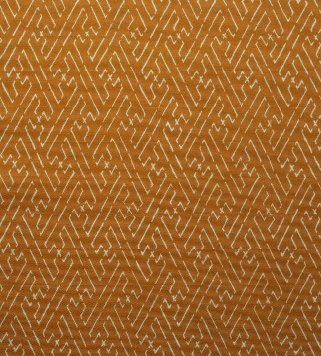 Trellis Fabric by Titley and Marr Amber