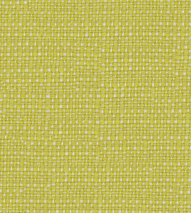 Tresco Fabric by Osborne & Little Lime