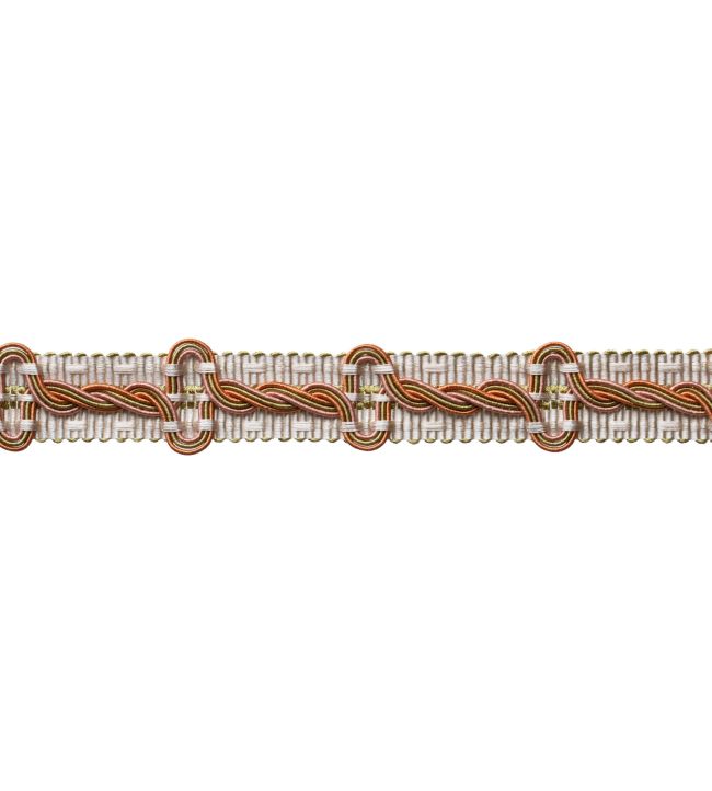 Trianon Braid Trimming by Samuel & Sons Chiffon