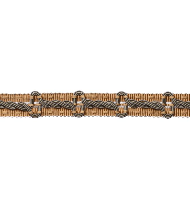 Trianon Braid Trimming by Samuel & Sons Citrine
