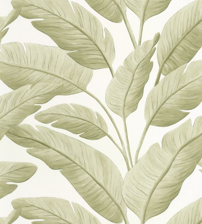 Tropicalia Wallpaper by Caselio Amande