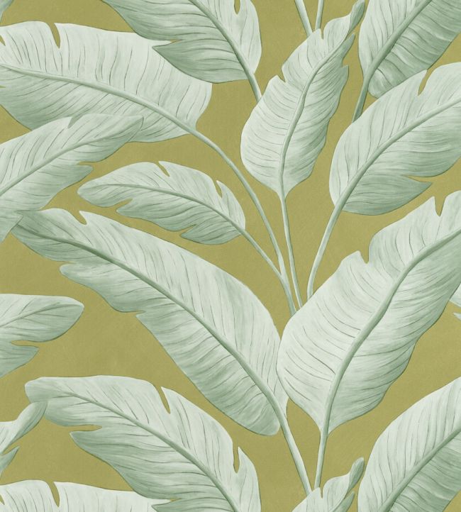 Tropicalia Wallpaper by Caselio Kaki