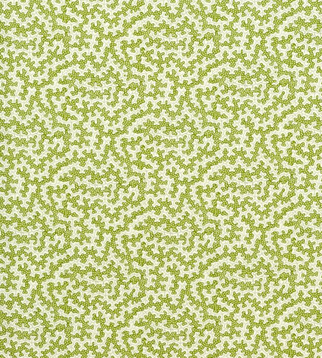 Truffle Outdoor Fabric by Sanderson Olive