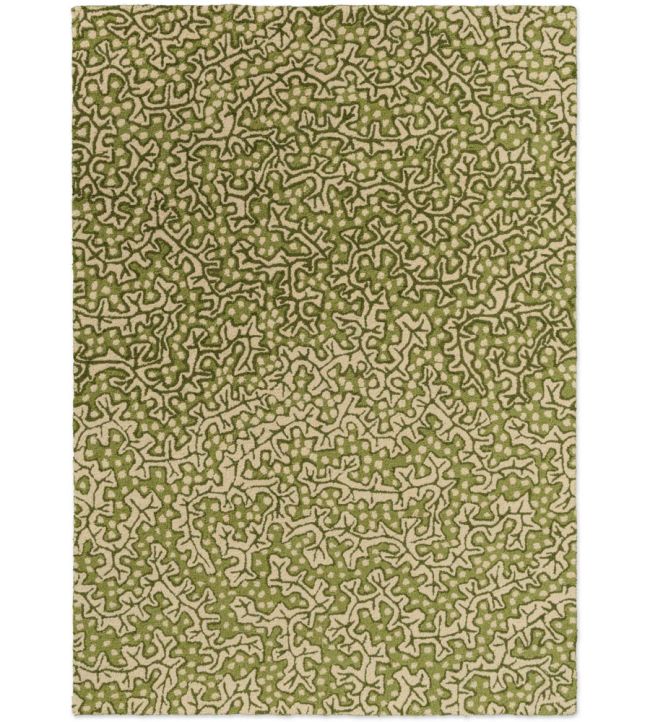 Sanderson Truffle Outdoor rug Olive 446007140200-US Olive