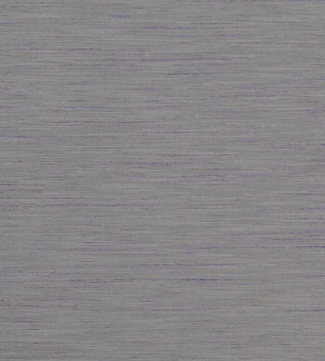 Tussah Fabric by Clarke & Clarke Ash