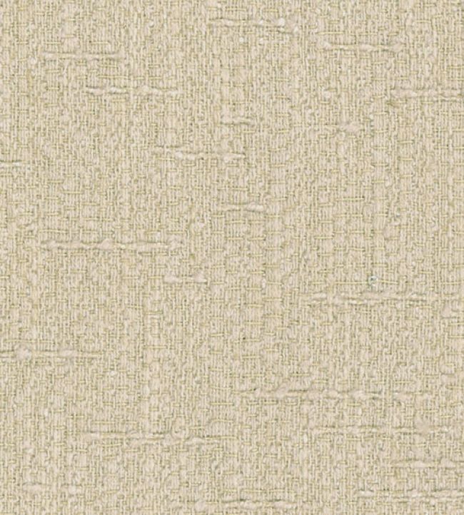 Tussah Fabric by JORO N6-Taupe