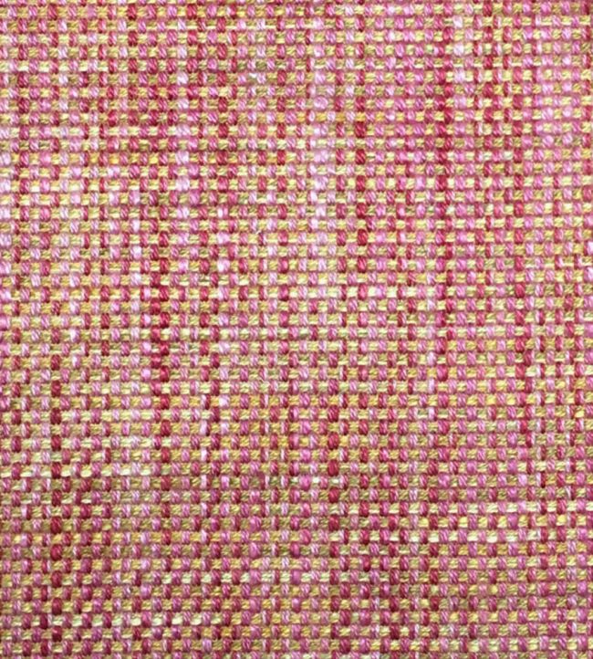 Umi Fabric by Ian Sanderson Coral