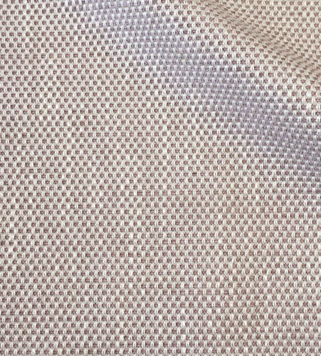 Umi Fabric by Ian Sanderson Thistledown