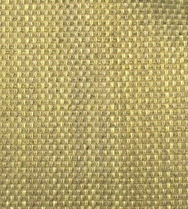Umi Fabric by Ian Sanderson Zucchini