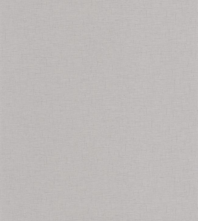 Uni Gaze Wallpaper by Caselio Gris Clair