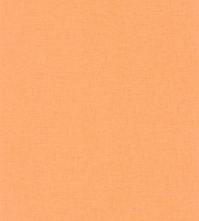 Uni Gaze Wallpaper by Caselio Orange