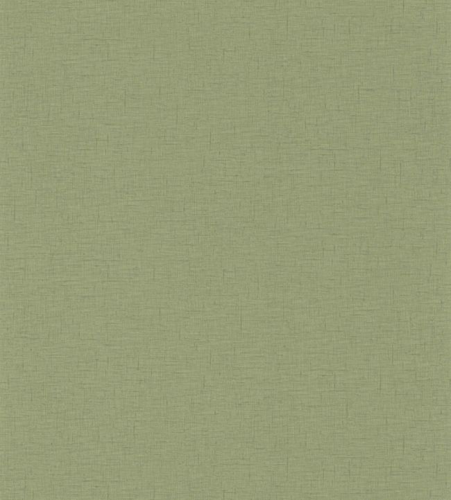 Uni Gaze Wallpaper by Caselio Vert Olive