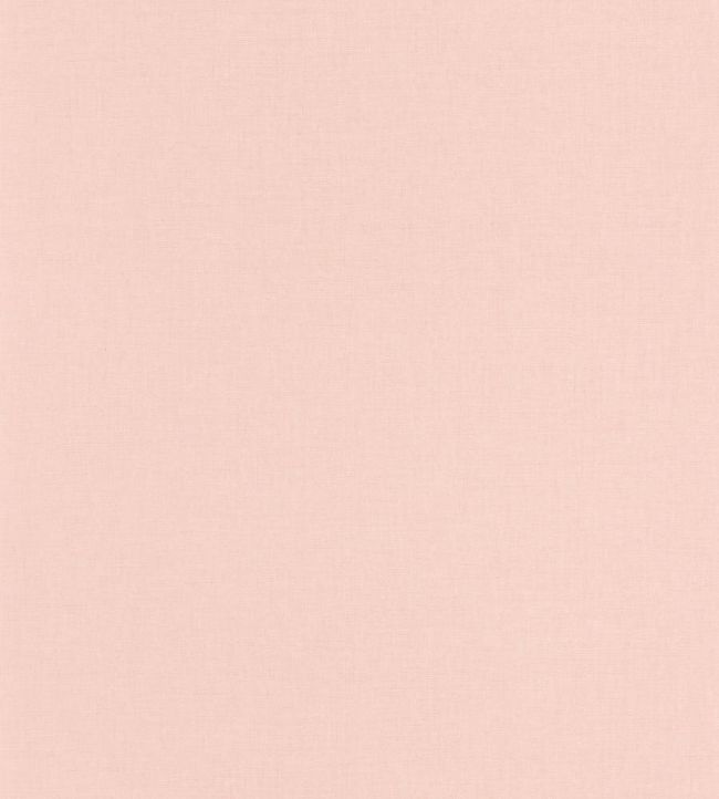 Uni Mat II Wallpaper by Caselio Rose Nude