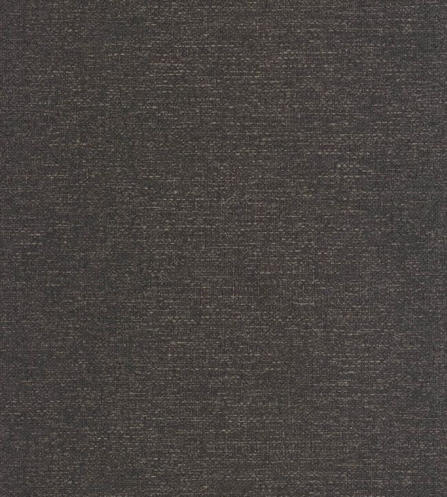 Uni Metallise Wallpaper by Caselio Noir Dore