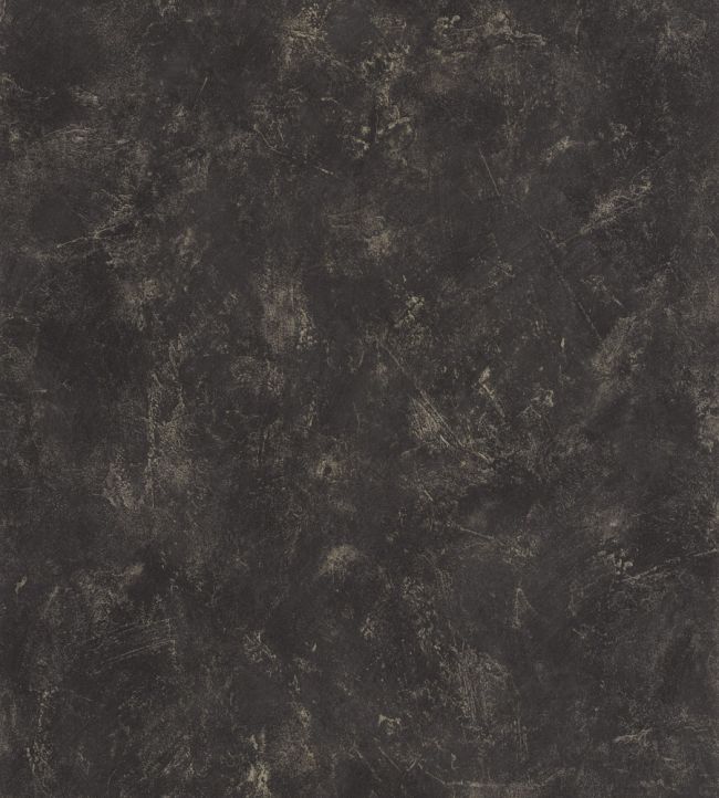 Uni Metallise Vinyl Wallpaper by Caselio Noir Dore