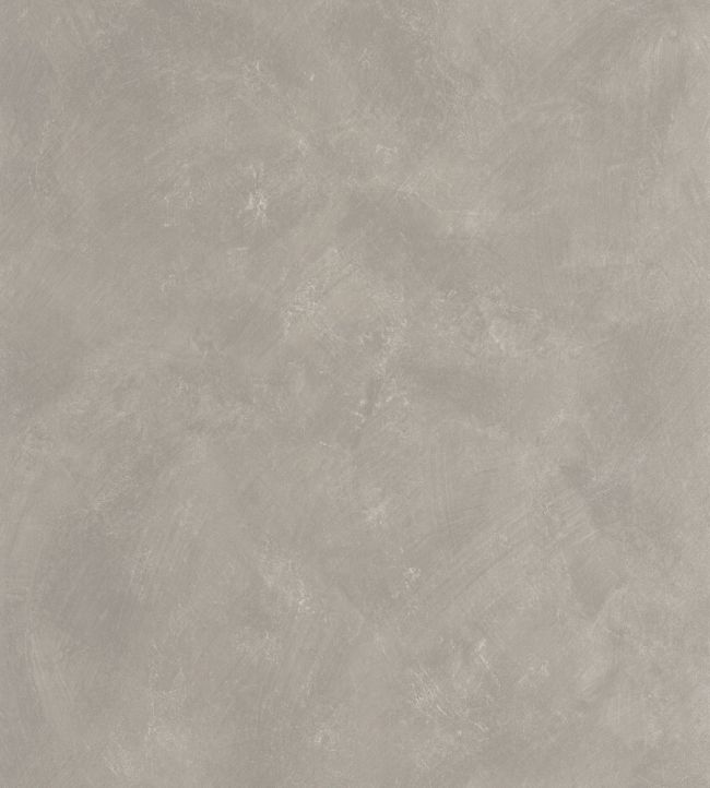 Uni Metallise Vinyl Wallpaper by Caselio Taupe Dore